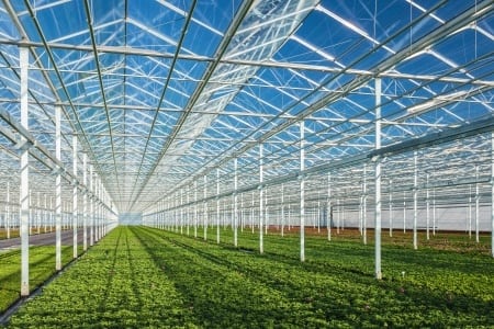 Roll Forming Greenhouses