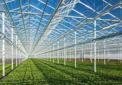 Roll Forming Greenhouses