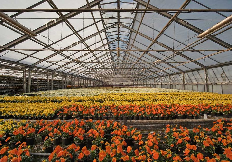 Roll Forming for Greenhouses